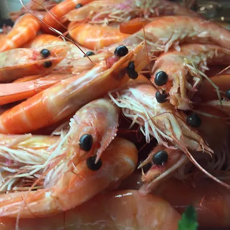 Fonte De San Roque 호텔 산티아고데콤포스텔라