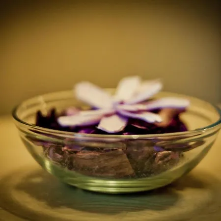 Hotel Fonte De San Roque Santiago de Compostela