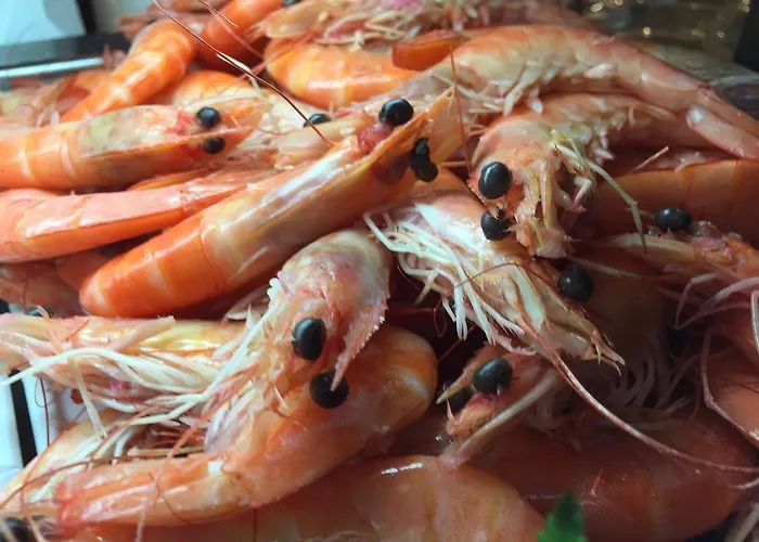 Fonte De San Roque 호텔 산티아고데콤포스텔라