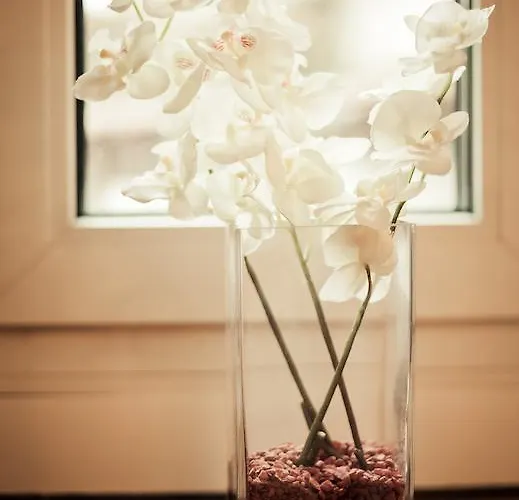 Fonte De San Roque Santiago de Compostela